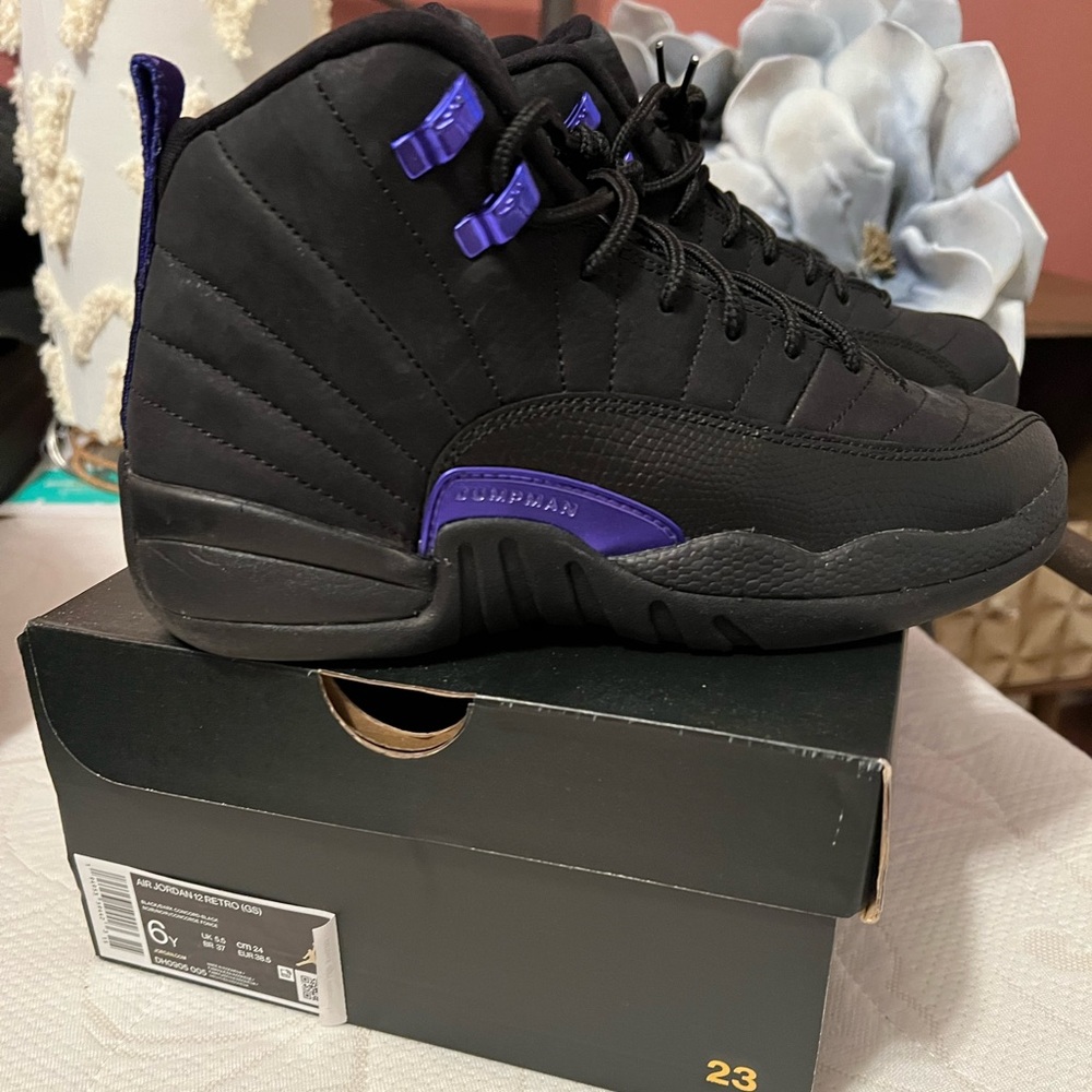 Air Jordan 12 Black/Concord Purple